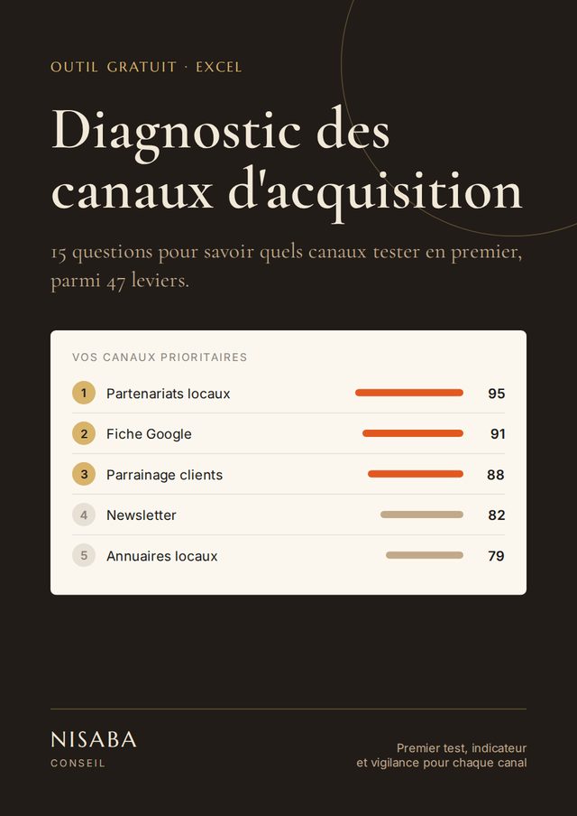 Aperçu du diagnostic des canaux d'acquisition de Nisaba Conseil